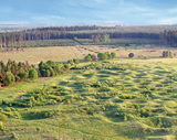 Photo of Grime's Graves