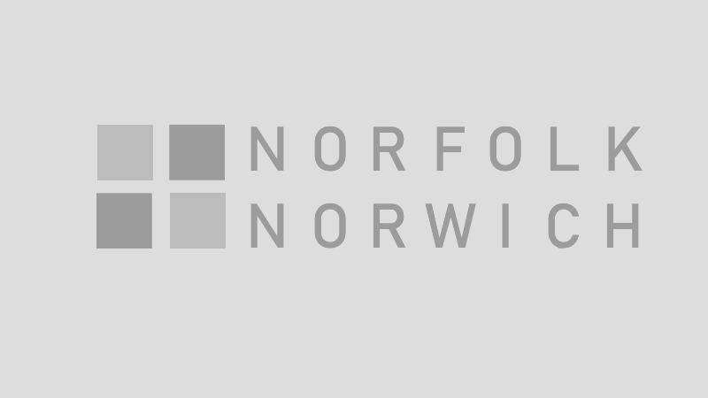 Visit Norfolk Website
