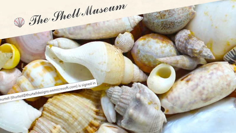 The Shell Museum