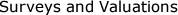 Surveys and Valuations