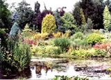 Photo of Bressingham Gardens