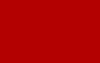 Red flag - Danger