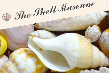 The Shell Museum
