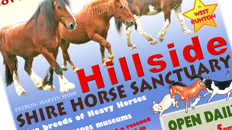 Hillside Shire Horse Sanctuary