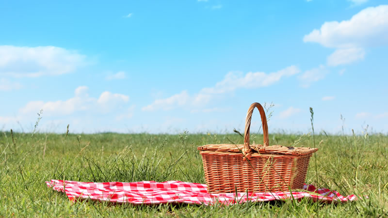 15 of the Best Places to Picnic in Norfolk 